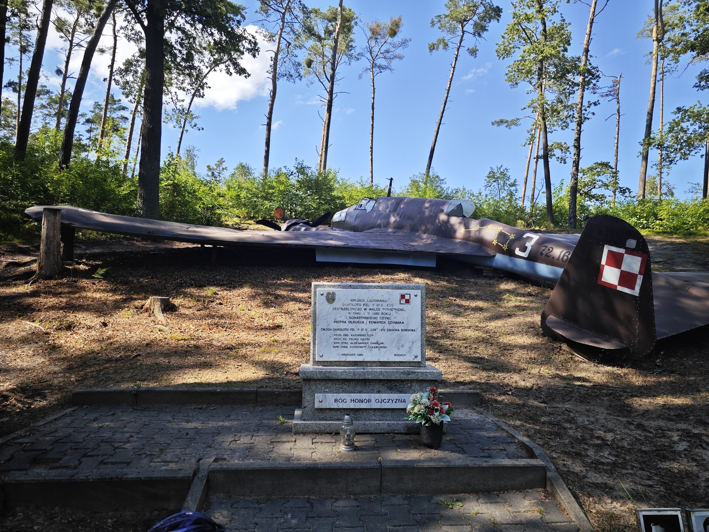 Moose from Dłutowskiego Forest